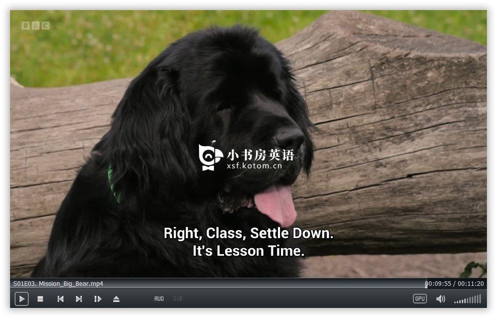 Dog Squad 图片12 Dog Squad 图片11