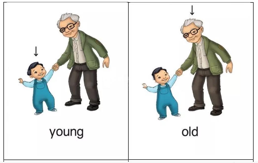 牛津单词闪卡 图片18 牛津单词闪卡 图片17